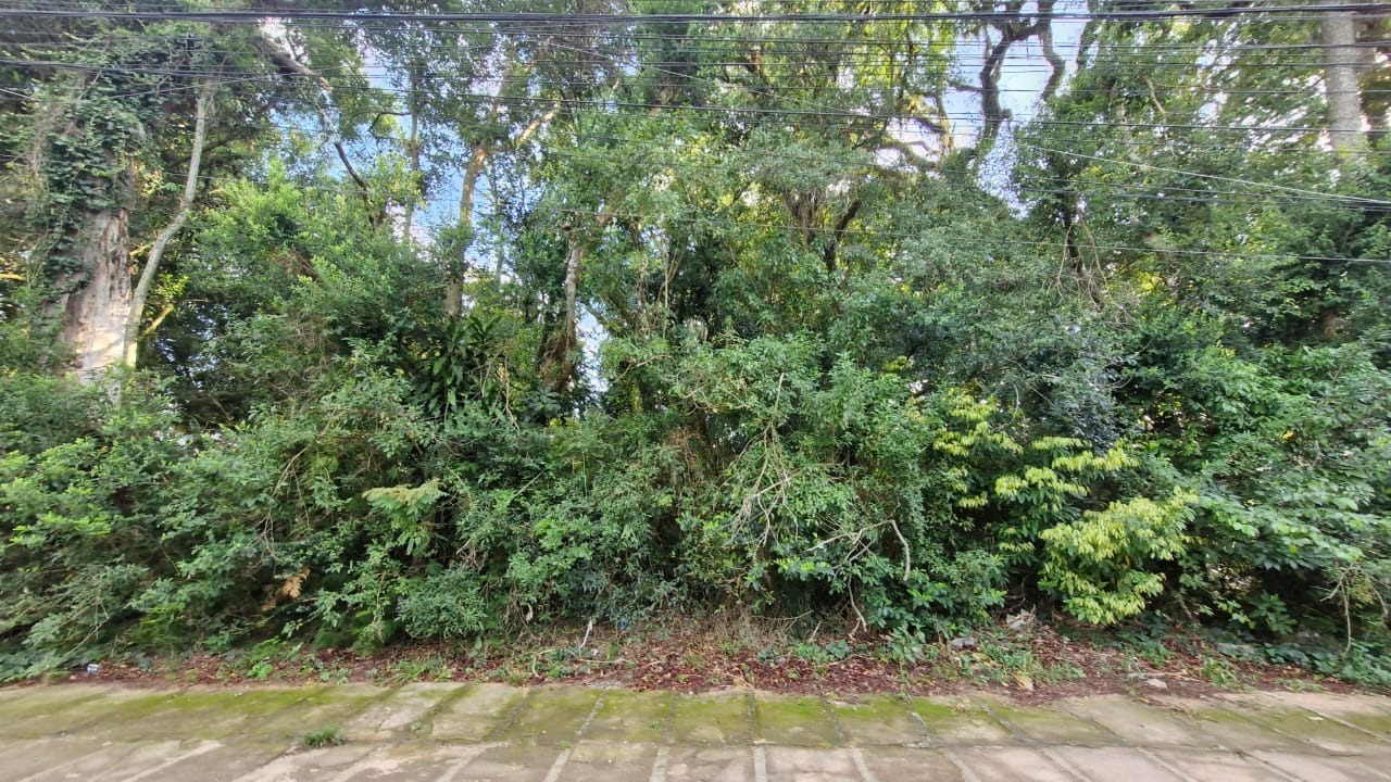 Terreno Teresópolis Porto Alegre